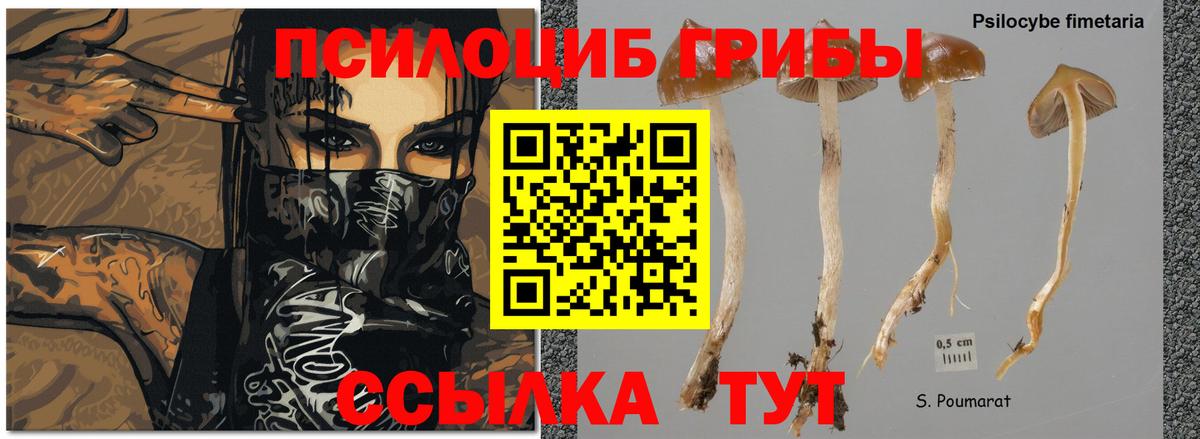 Галлюциногенные грибы мухоморы  Вход с VPN  Богданович 